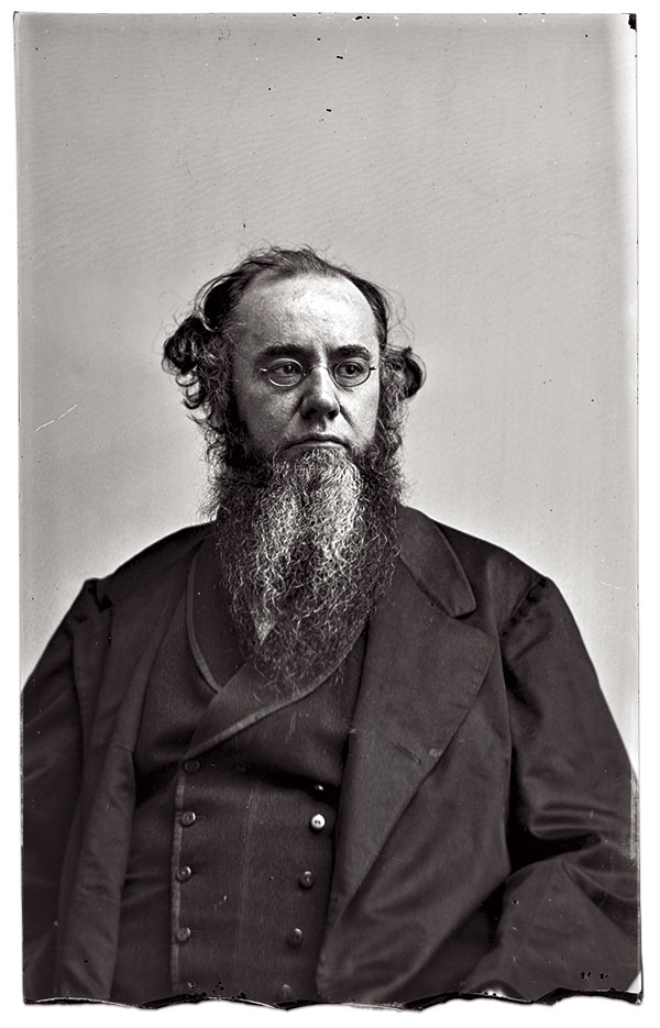 Edwin M. Stanton. Glass plate negative by Mathew B. Brady of Washington, D.C. Frederick Hill Reserve Collection, National Portrait Gallery.